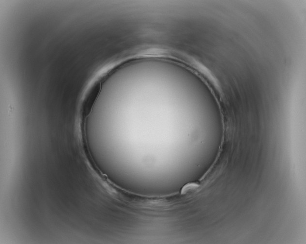 X0000115841464200911131056