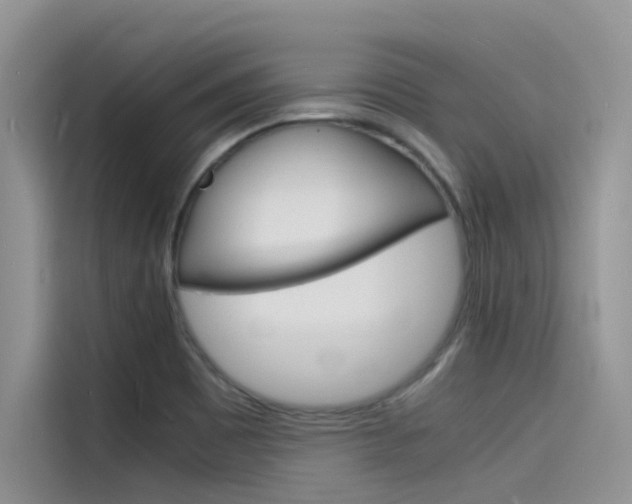 X0000115841465200911131056