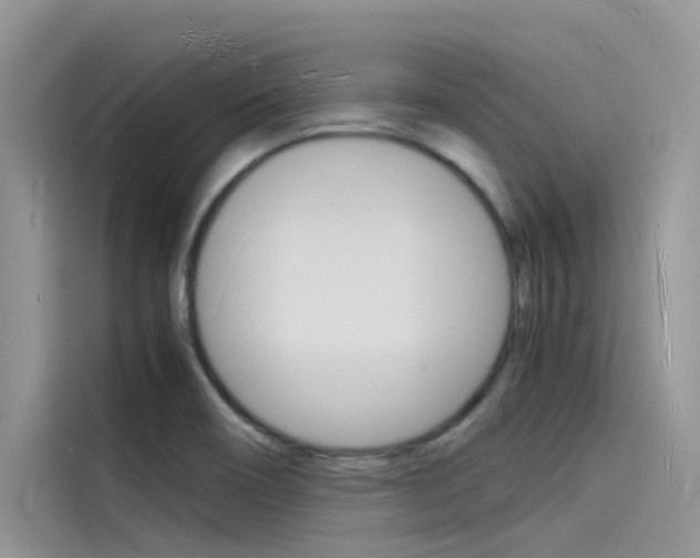 X0000115841466200911131056