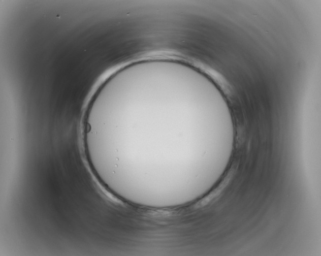 X0000115841470200911131056