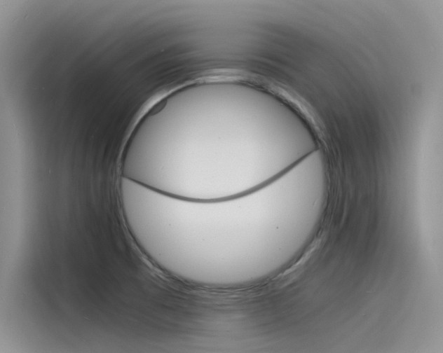 X0000115841473200911131056
