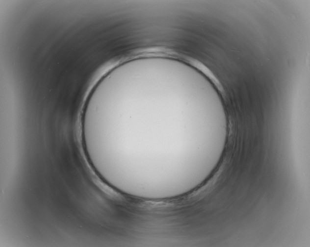 X0000115841474200911131056