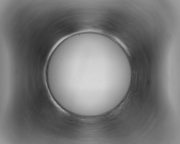 X0000115841476200911131056