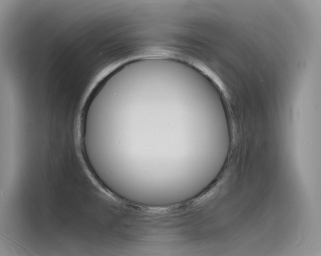 X0000115841477200911131056