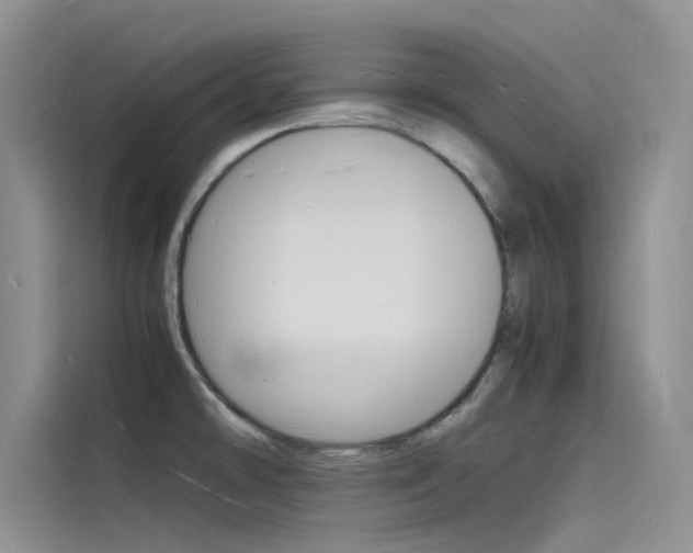 X0000115841478200911131056