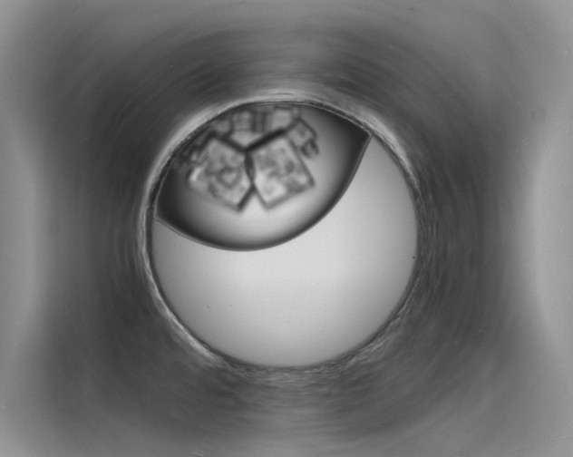 X0000115841480200911131056