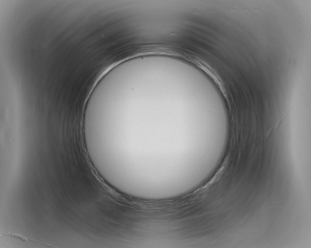 X0000115841481200911131056