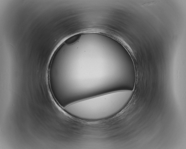 X0000115841484200911131056