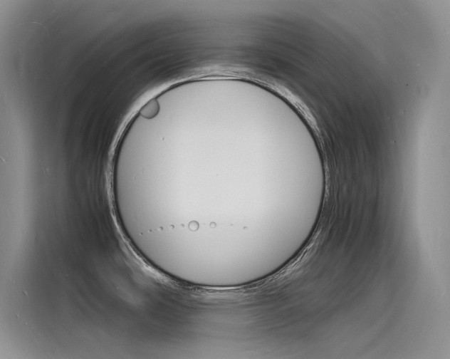 X0000115841486200911131056