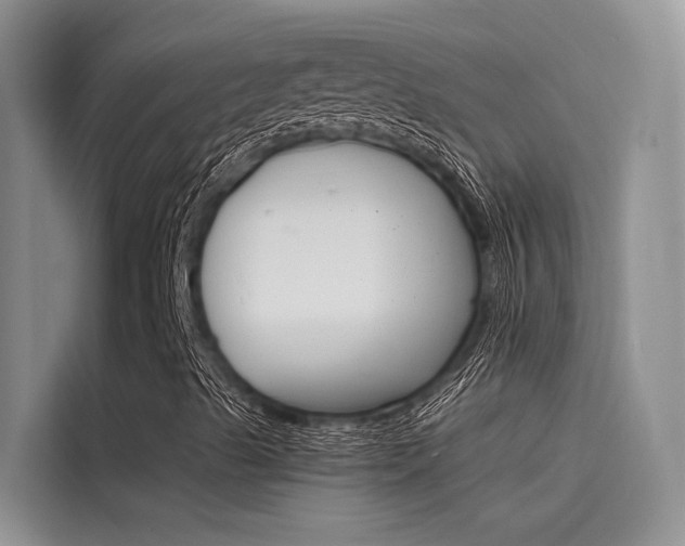 X0000115841489200911131055
