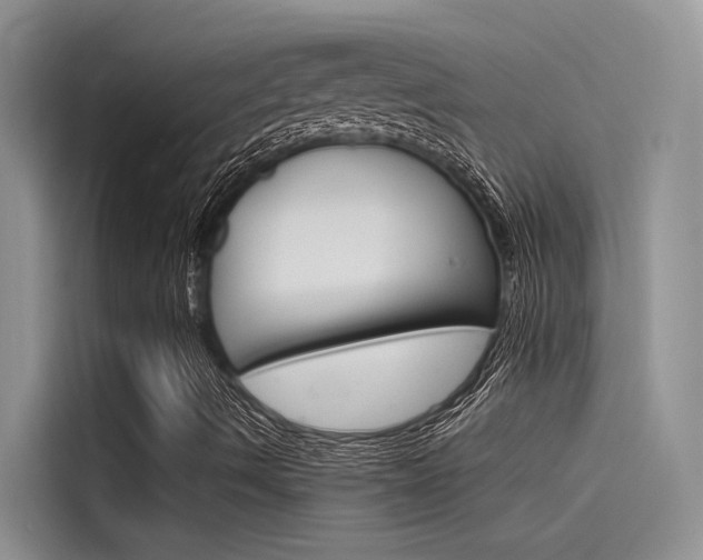 X0000115841490200911131055