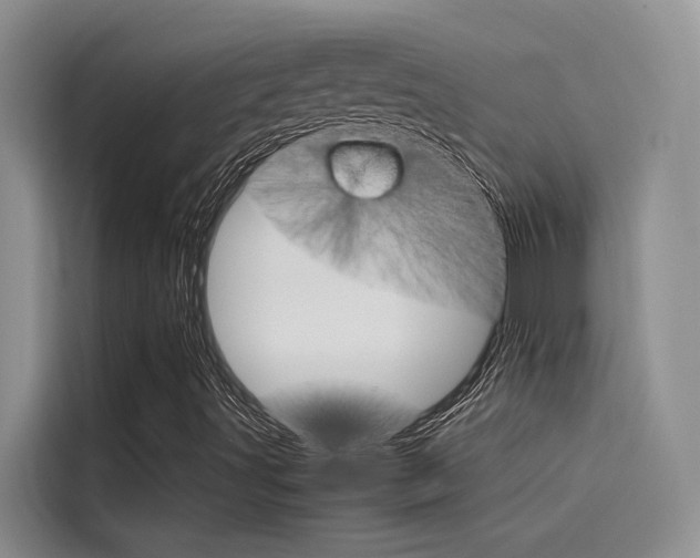 X0000115841491200911131056