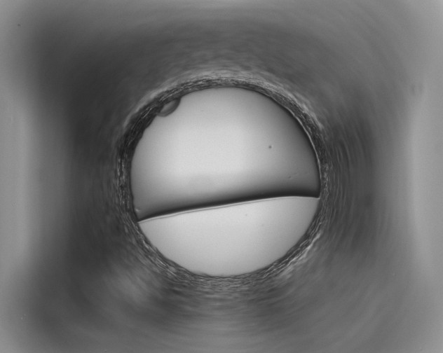 X0000115841494200911131056