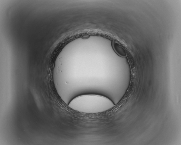 X0000115841495200911131056
