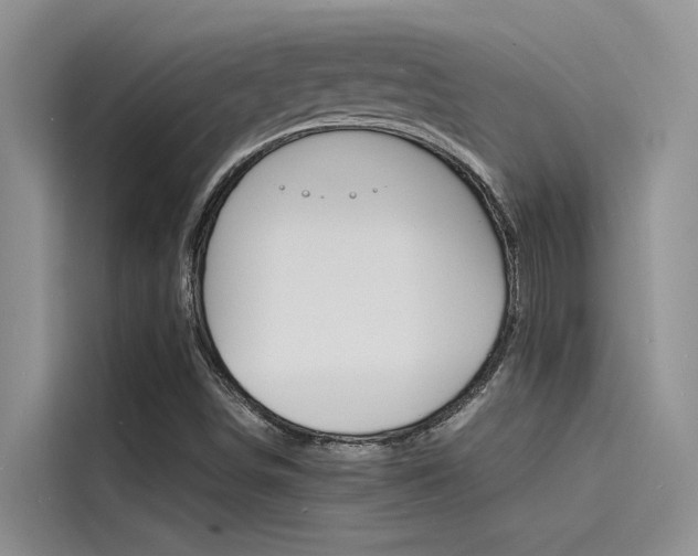 X0000115841498200911131056