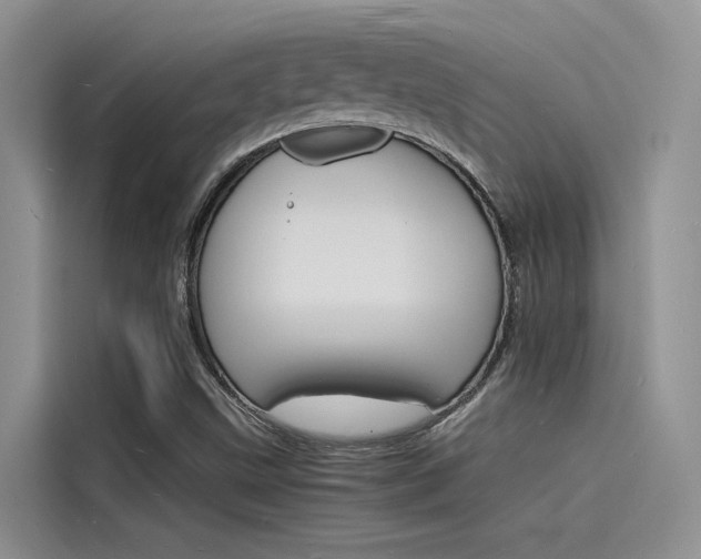 X0000115841499200911131056
