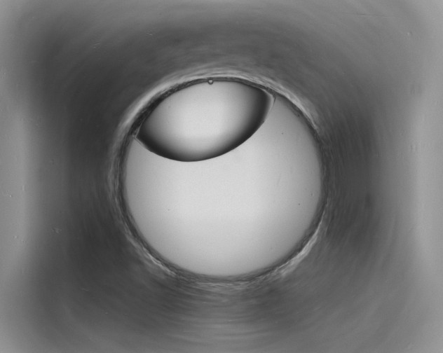 X0000115841502200911131056