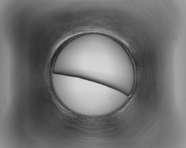 X0000115841503200911131056