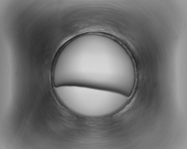 X0000115841505200911131056