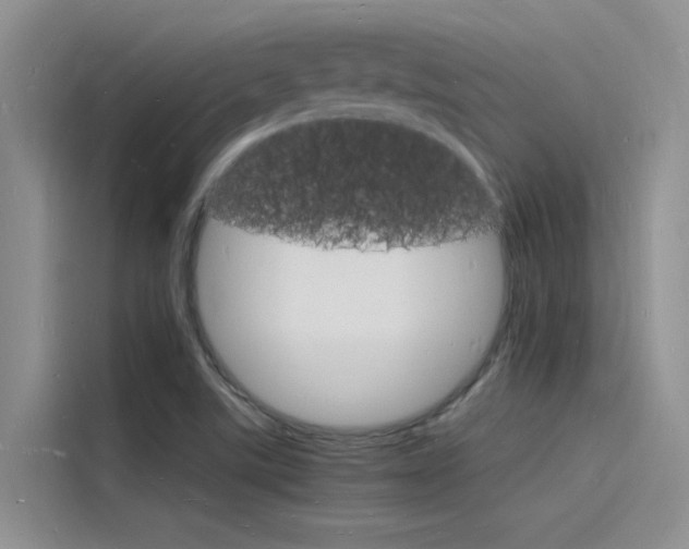 X0000115841507200911131056