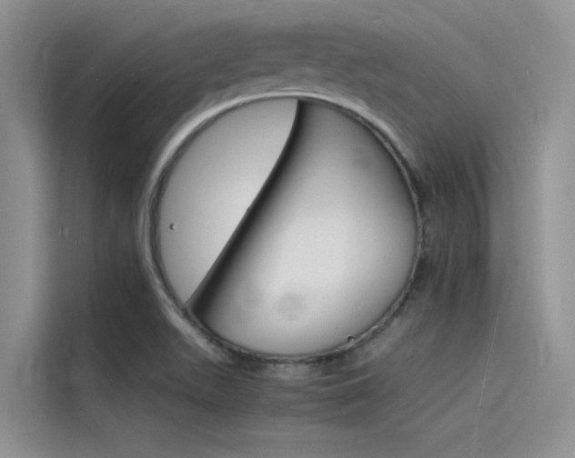 X0000115841511200911131056