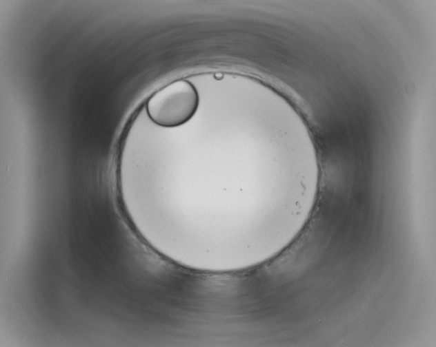 X0000115841514200911131056