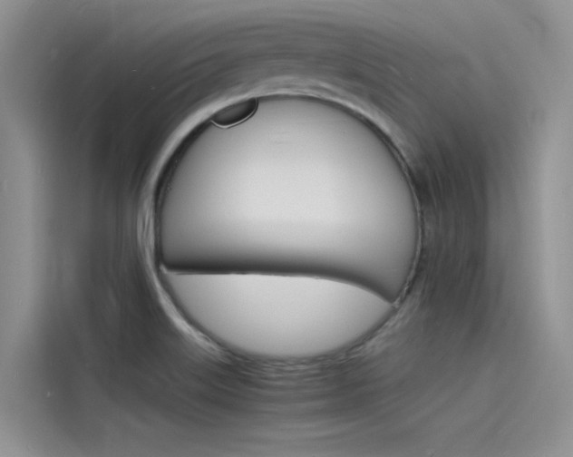 X0000115841515200911131056