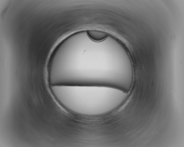X0000115841517200911131056