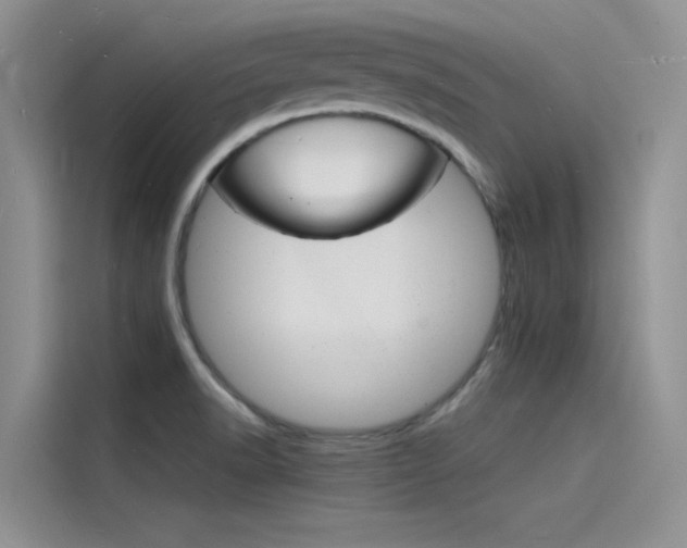 X0000115841518200911131056