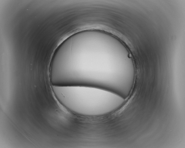 X0000115841521200911131056