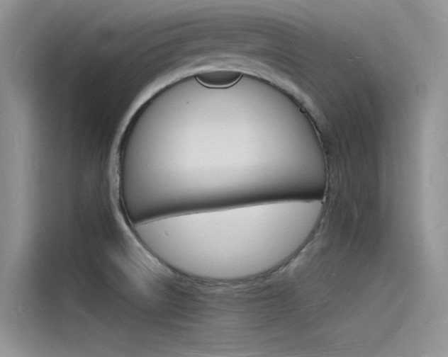 X0000115841522200911131056