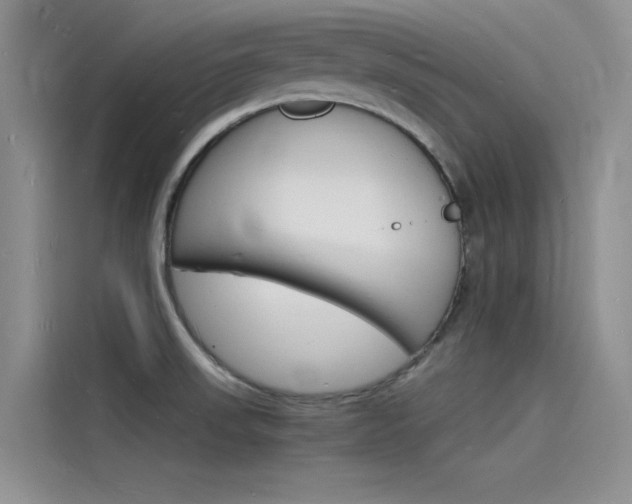 X0000115841523200911131056