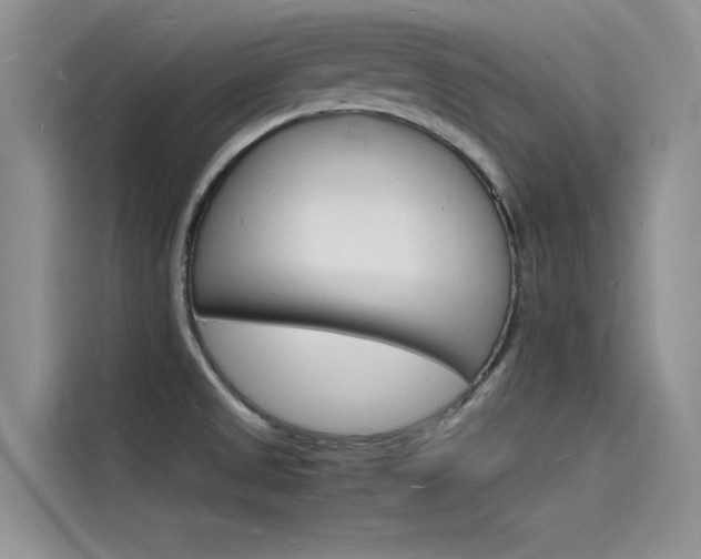 X0000115841525200911131056