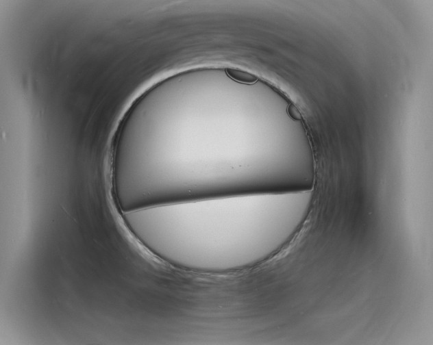 X0000115841526200911131056
