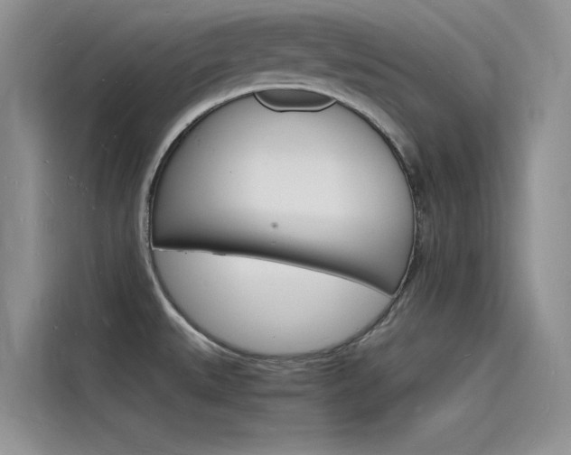 X0000115841527200911131056