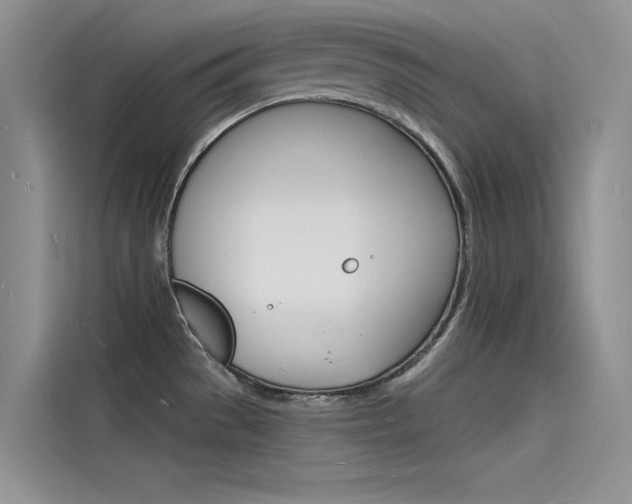 X0000115841529200911131056