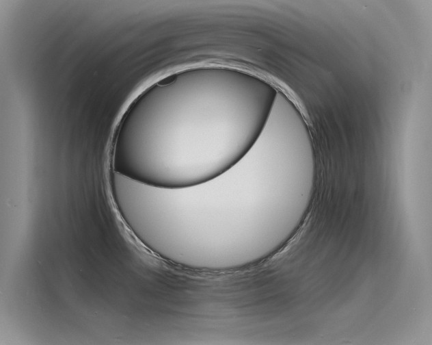 X0000115841530200911131056
