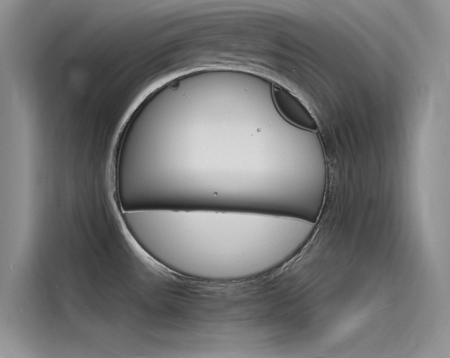 X0000115841531200911131056