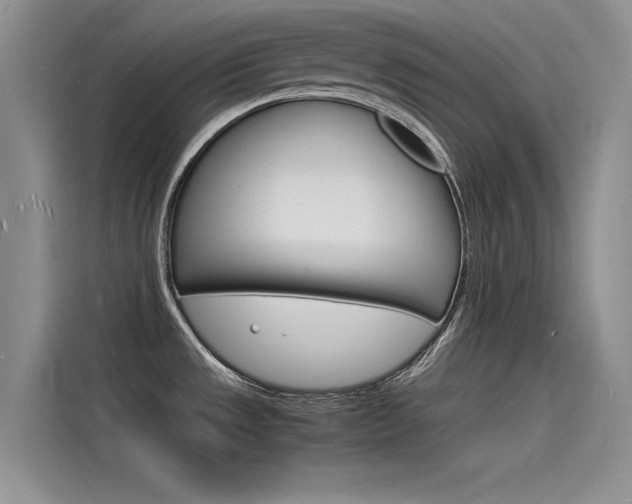 X0000115841533200911131056
