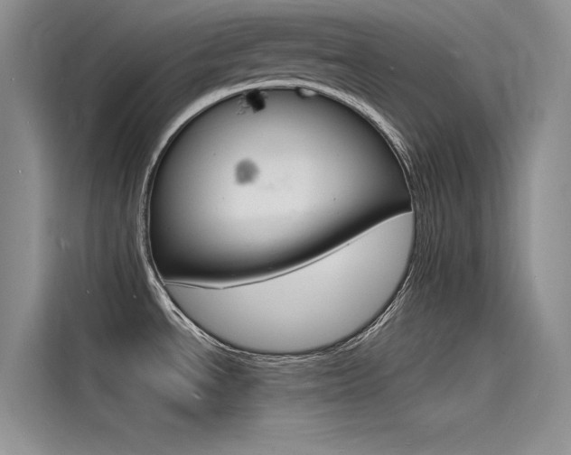 X0000115841534200911131056