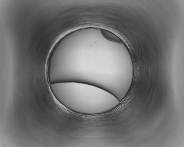 X0000115841535200911131056