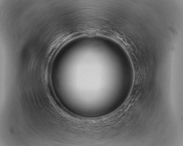 X0000115840002200911131540