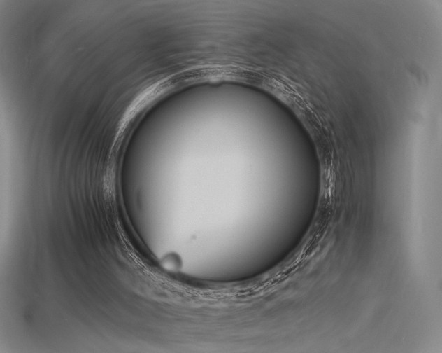 X0000115840004200911131540