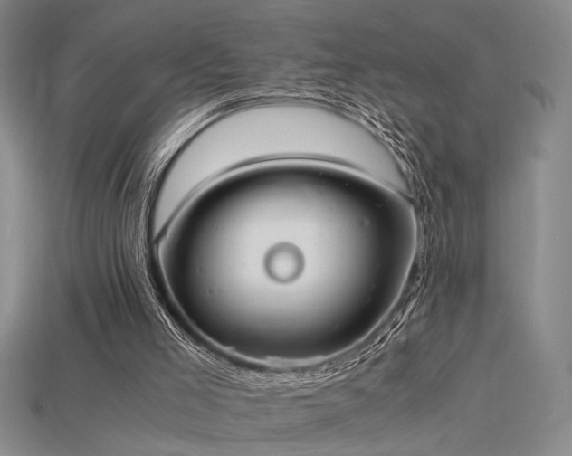 X0000115840005200911131540