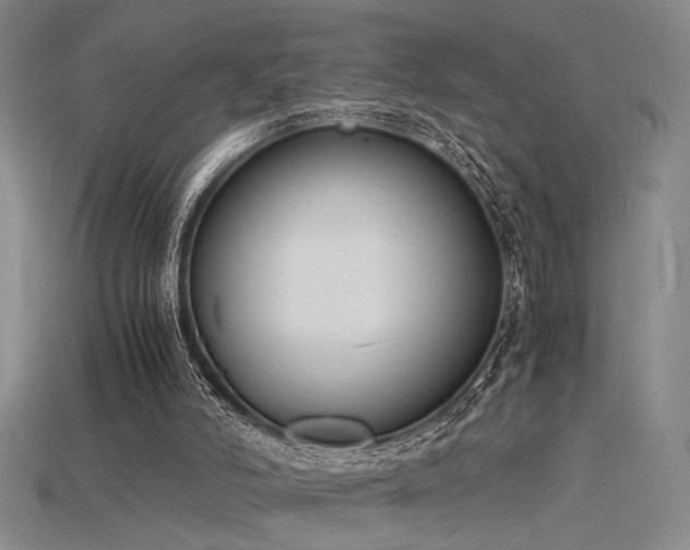 X0000115840006200911131540