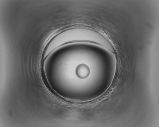 X0000115840007200911131540