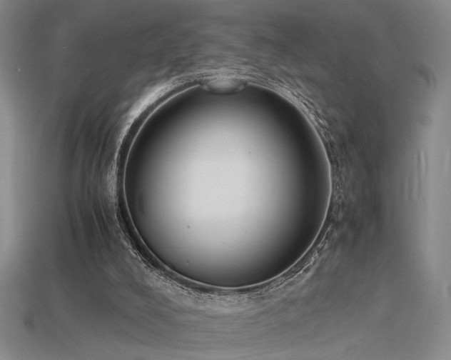 X0000115840008200911131540