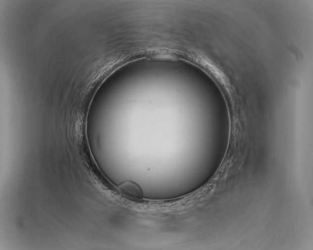 X0000115840009200911131540