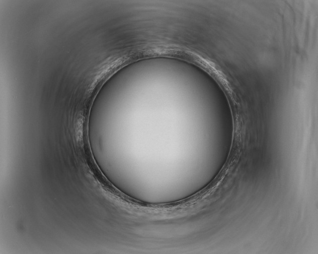 X0000115840010200911131540