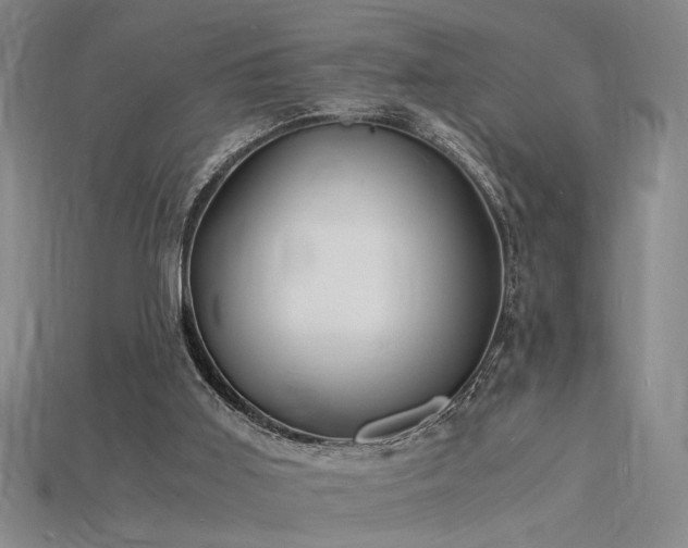 X0000115840011200911131540